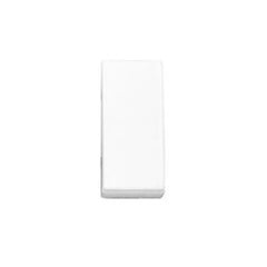 MOD CAPR BR P/INT INTERMEDIARIO 5295